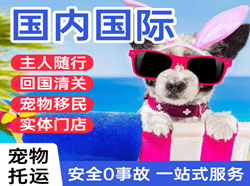 沙堤航空运输国际宠物托运 【国